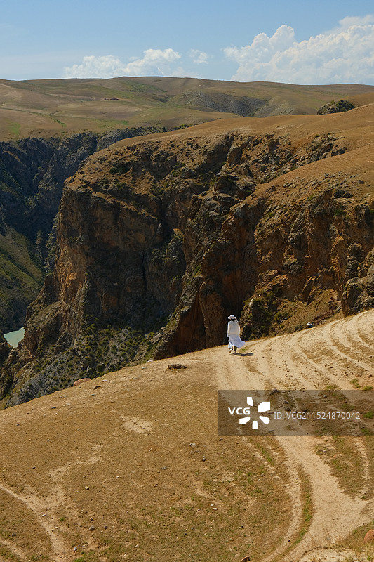 新疆伊犁喀拉峻大草原图片素材