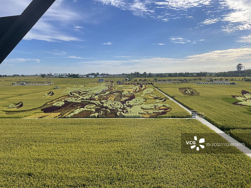 沈阳稻梦空间——秋季景色图片素材