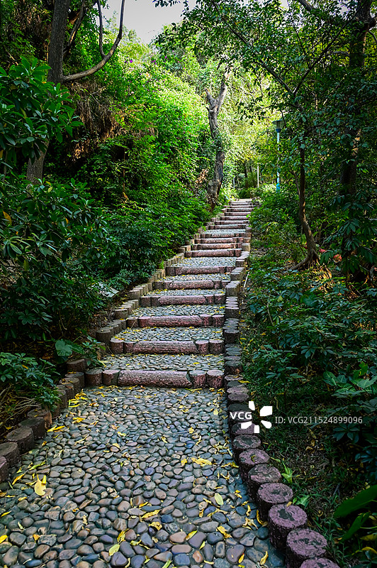 顺德大良凤岭公园图片素材