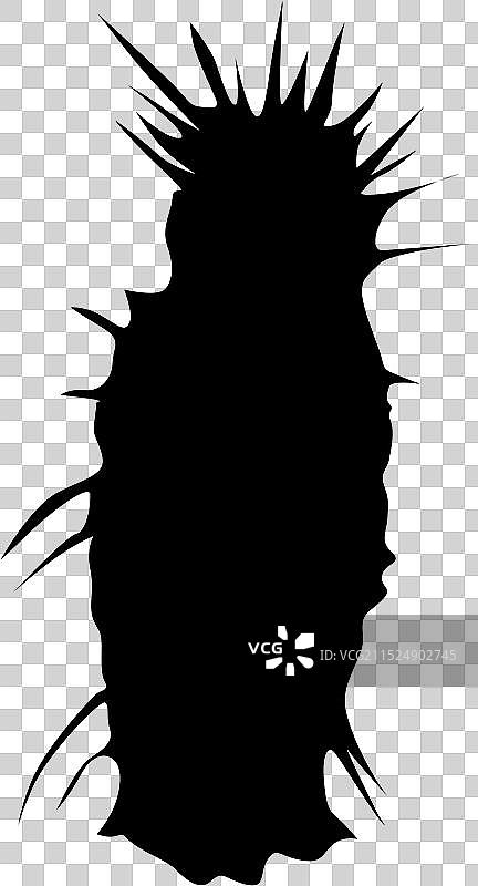 黑色仙人掌轮廓图片素材