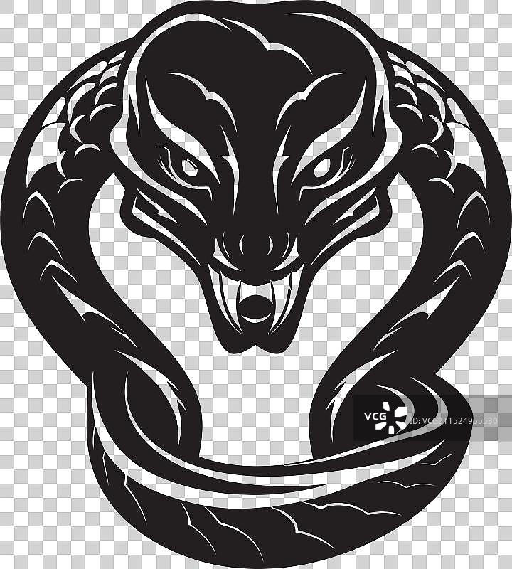 神秘黑曼巴蛇标志设计图片素材