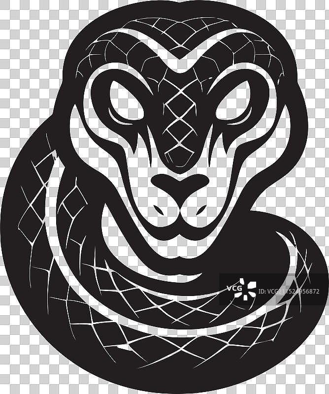 时尚黑曼巴蛇精致设计图片素材