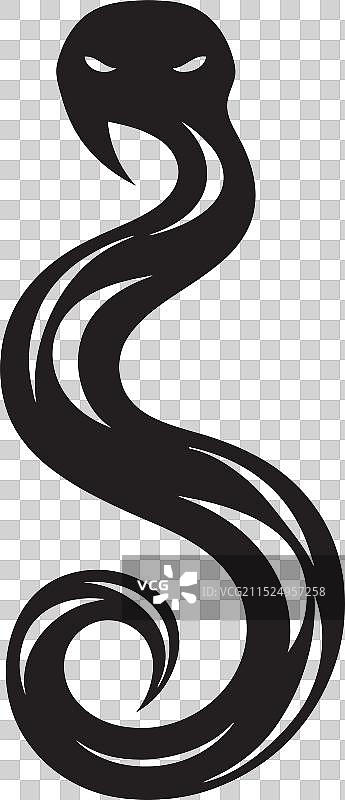 墨色黑曼巴蛇复杂蛇形图案图片素材