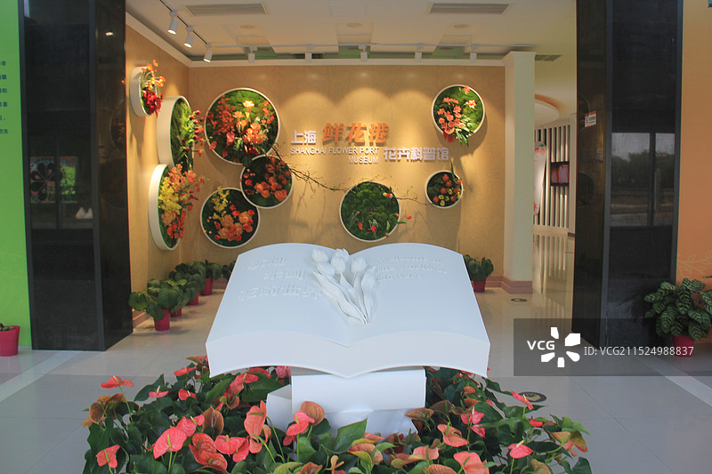 上海鲜花港图片素材