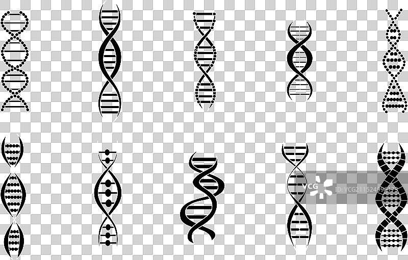 DNA分子基因结构图标合集图片素材