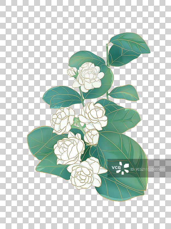 花卉国潮茉莉花图片素材