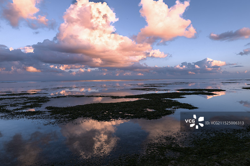 霞帔 — 马达加斯加圣玛丽岛图片素材