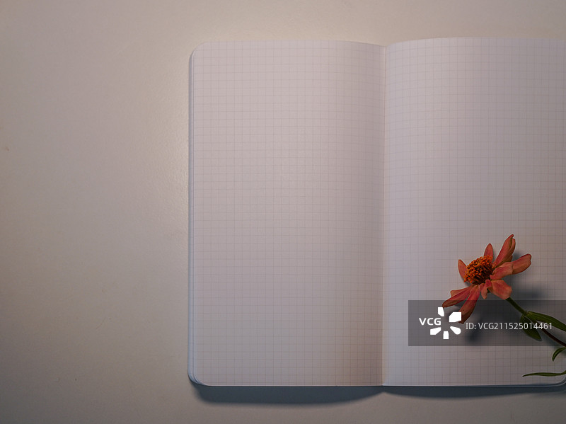 空白本子和一朵花图片素材