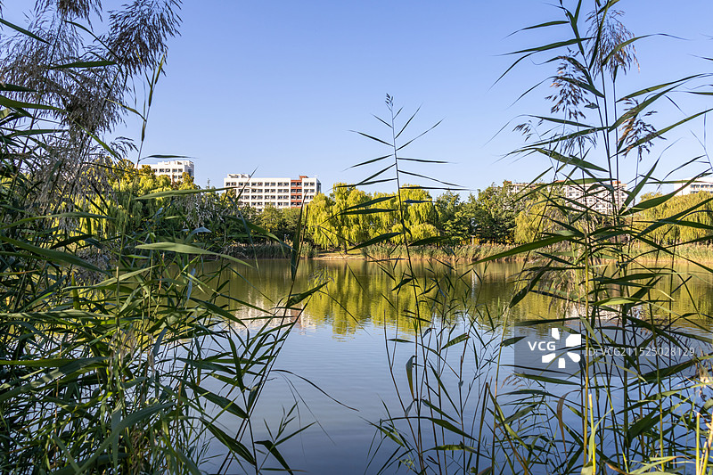 湖畔现代校园建筑群大学与湖泊图片素材
