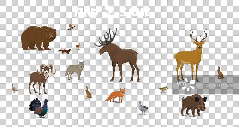 儿童森林动物配对游戏图片素材