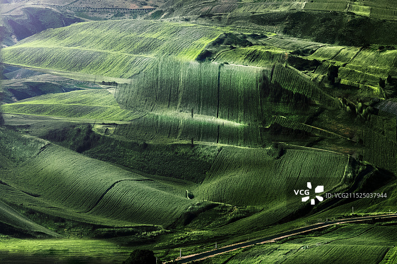 如织大地图片素材