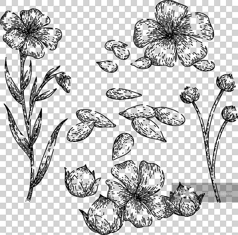 手绘亚麻套装草图图片素材