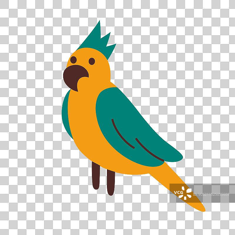 带冠的大鹦鹉图片素材