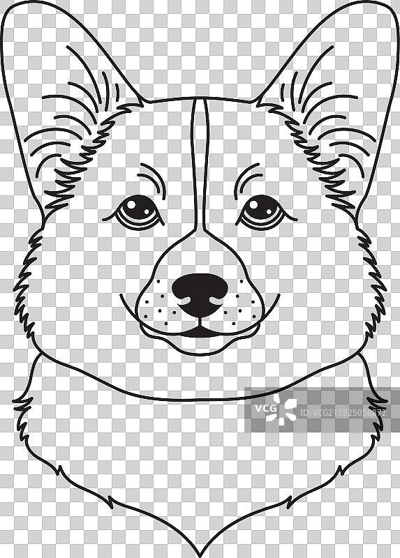 白色背景上的线性扁平风格威尔士柯基犬图标图片素材