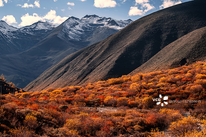 带色彩的雪山（四川省甘孜州子梅垭口）图片素材