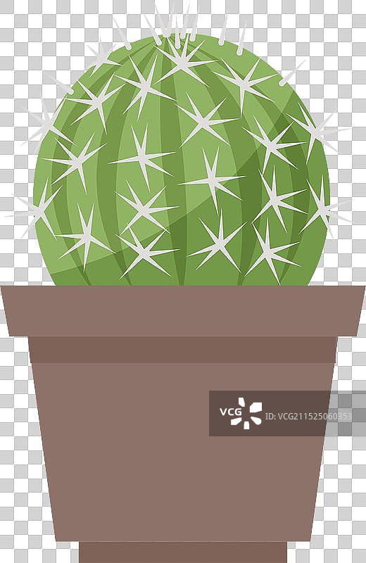 盆栽圆形仙人掌装饰图片素材