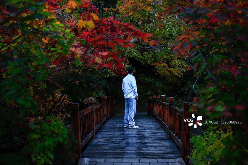 辽宁本溪大石湖红叶下的木桥图片素材