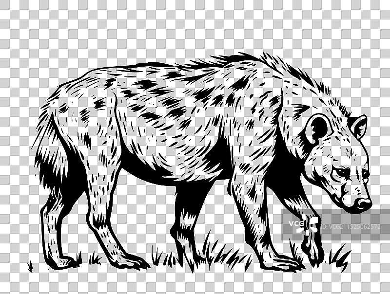 凝视鬣狗标志图标图片素材