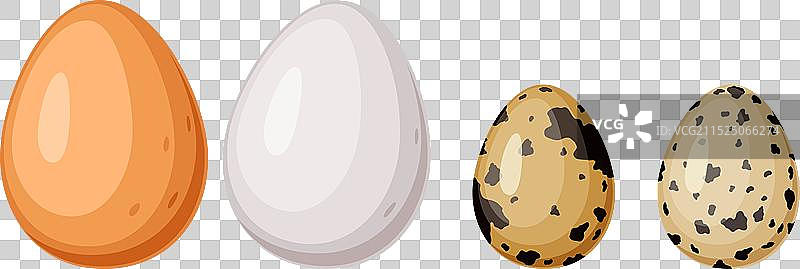 白色背景上的鸡和鹌鹑蛋彩色图标集图片素材
