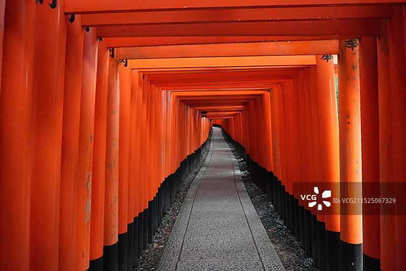 日本稻荷大社图片素材