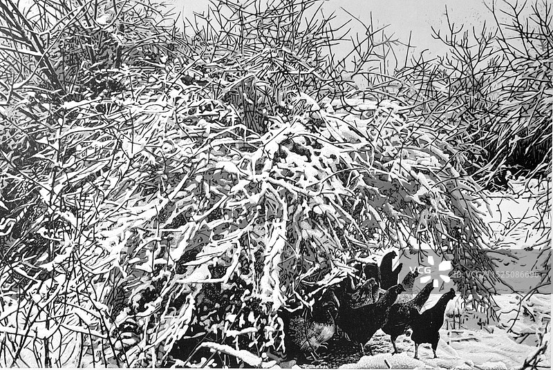 《春晓》凸版油套图片素材