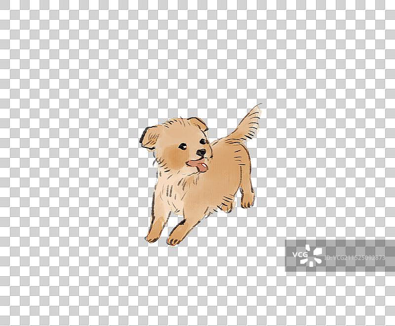 一只小小田园狗狗图片素材