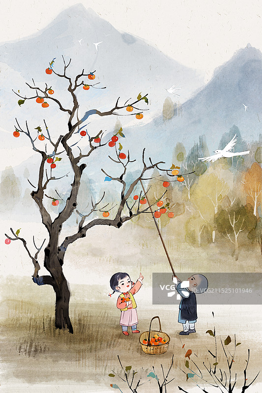 立冬摘柿子风景水墨竖版图片素材