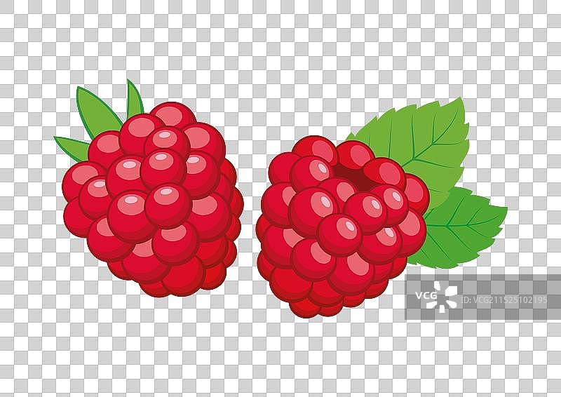 带叶子的成熟覆盆子图标集图片素材