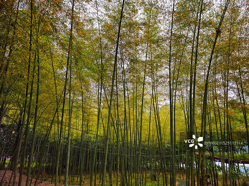 雷波马湖风景区图片素材