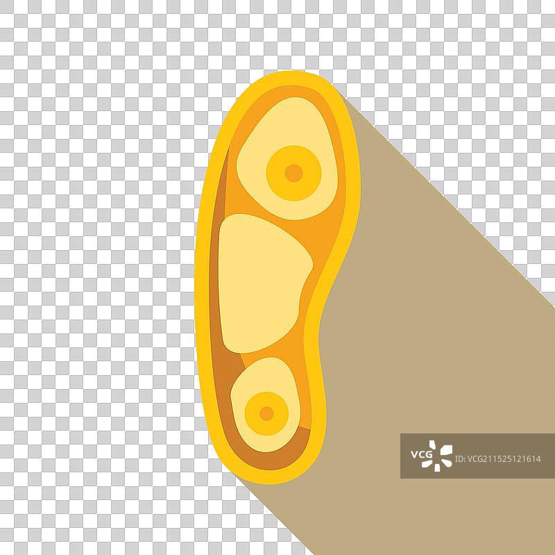 显示细胞结构的黄色细菌图片素材