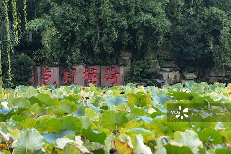 成都宝光桂湖文化旅游区图片素材