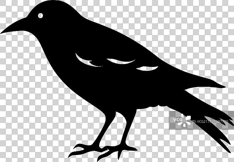 乌鸦黑白剪影图标图片素材