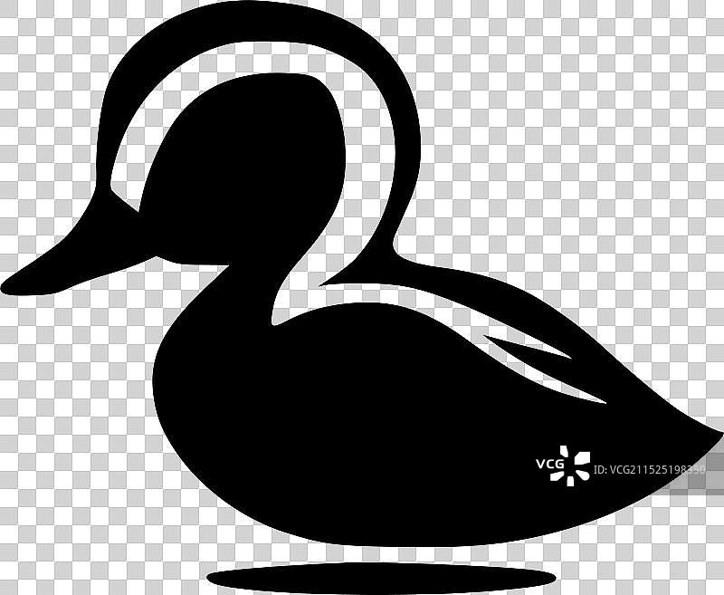 高品质鸭子Logo设计，适用于T恤图片素材