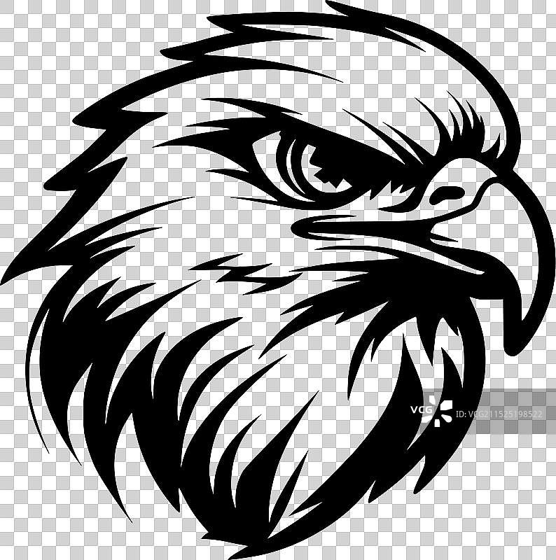 黑白猎隼图片素材