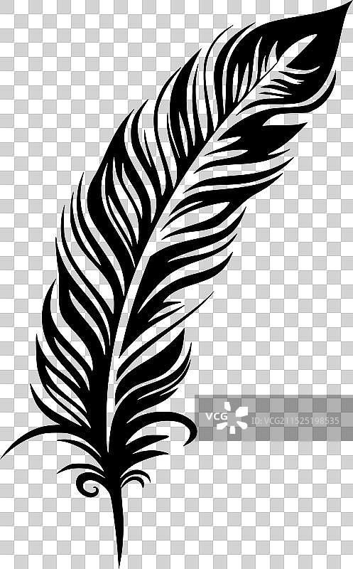 羽毛 - 黑白图片素材