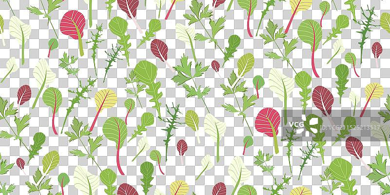 沙拉叶子无缝图案图片素材