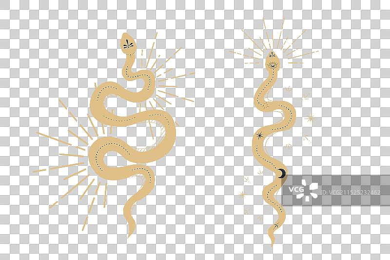 星体蛇神秘塔罗牌或纹身图片素材