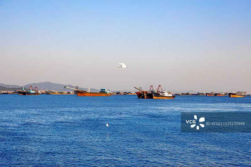 广东江门崖南崖门渔港渔船码头图片素材