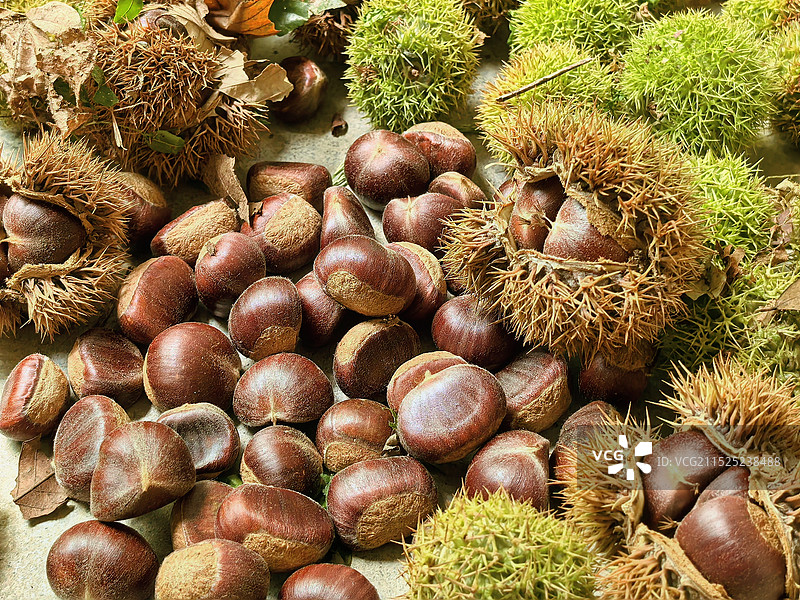 栗子图片素材