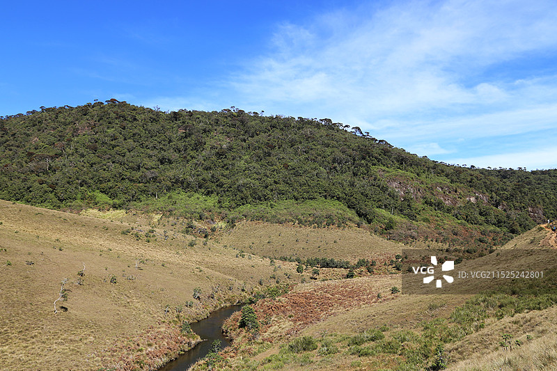 斯里兰卡霍顿平原国家公园图片素材