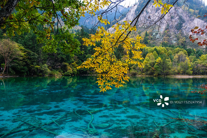 九寨沟五花海色彩斑斓图片素材