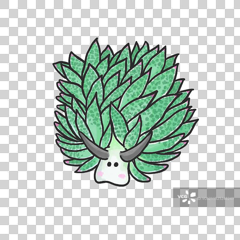 可爱的海洋生物，海兔图片素材