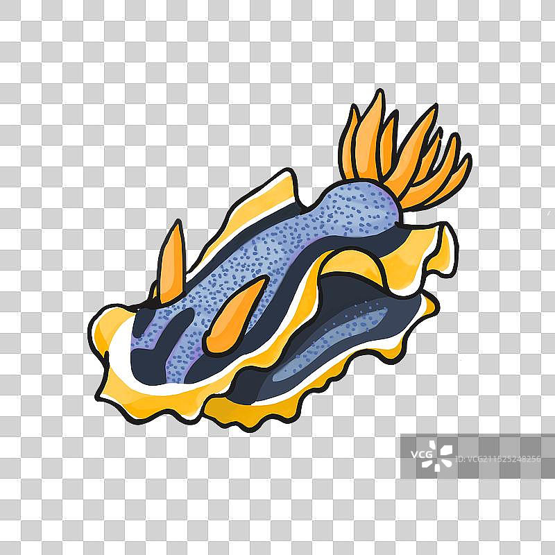 可爱的海洋生物，海兔图片素材