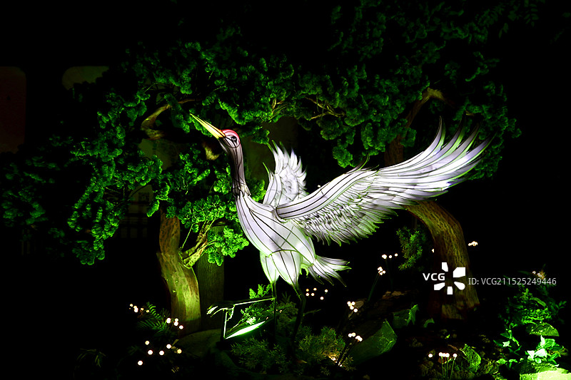 园博园灯会图片素材