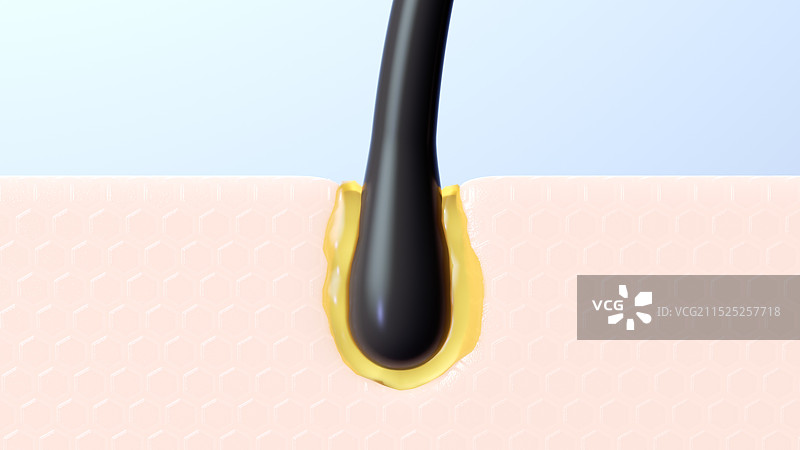 去油控油洗发水去屑洗发图片素材