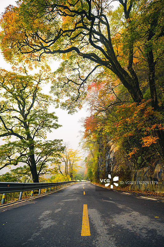 神农架林区神农顶沿途秋色图片素材