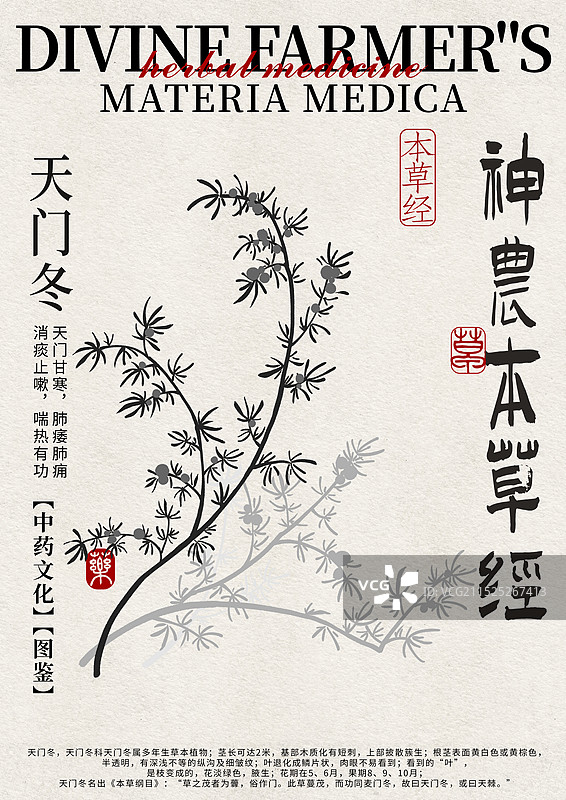 天门冬手绘中药材水彩插画设计模版图片素材