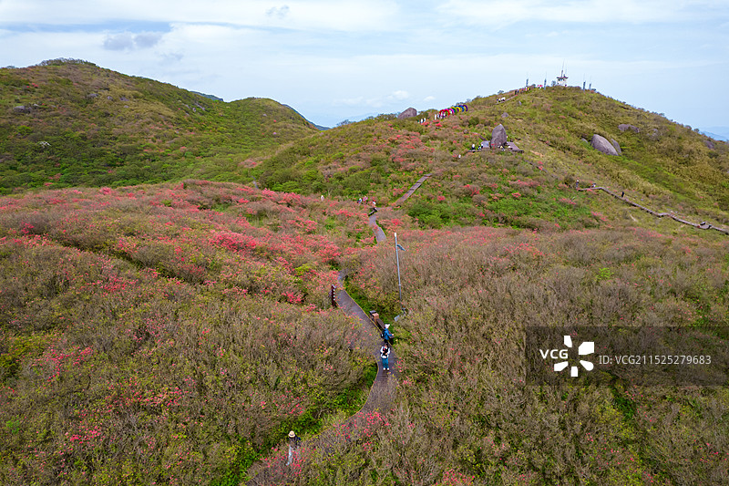 中国湖南省浏阳市大围山森林公园杜鹃花花海航拍视角图片素材