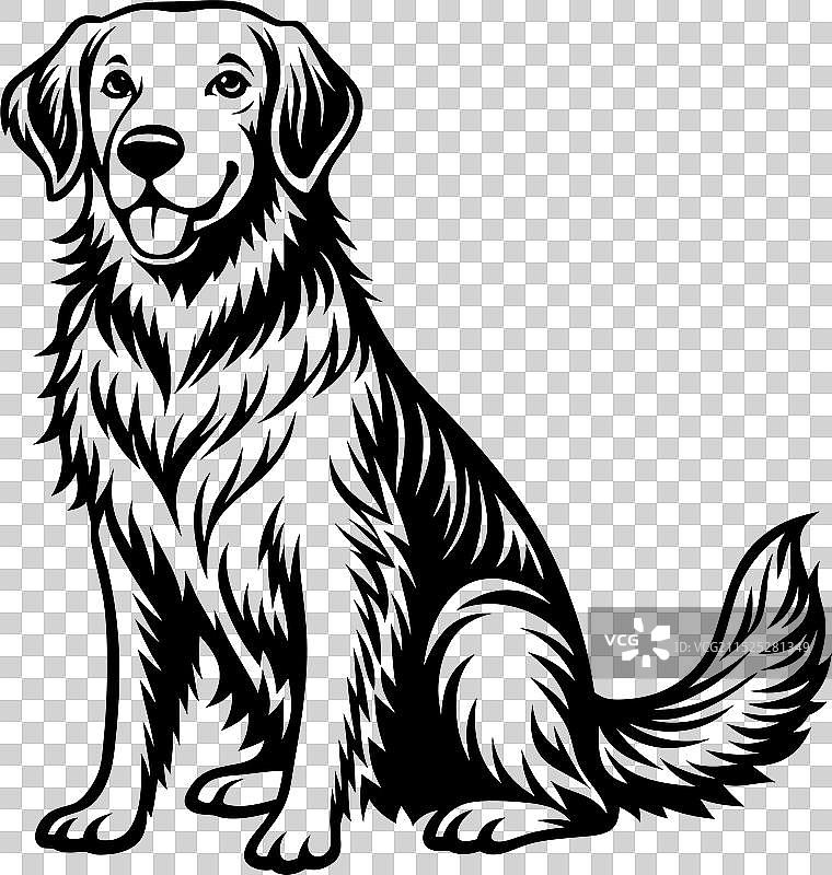 金毛巡回猎犬剪影设计图片素材