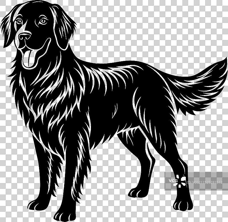 金毛巡回猎犬剪影设计图片素材